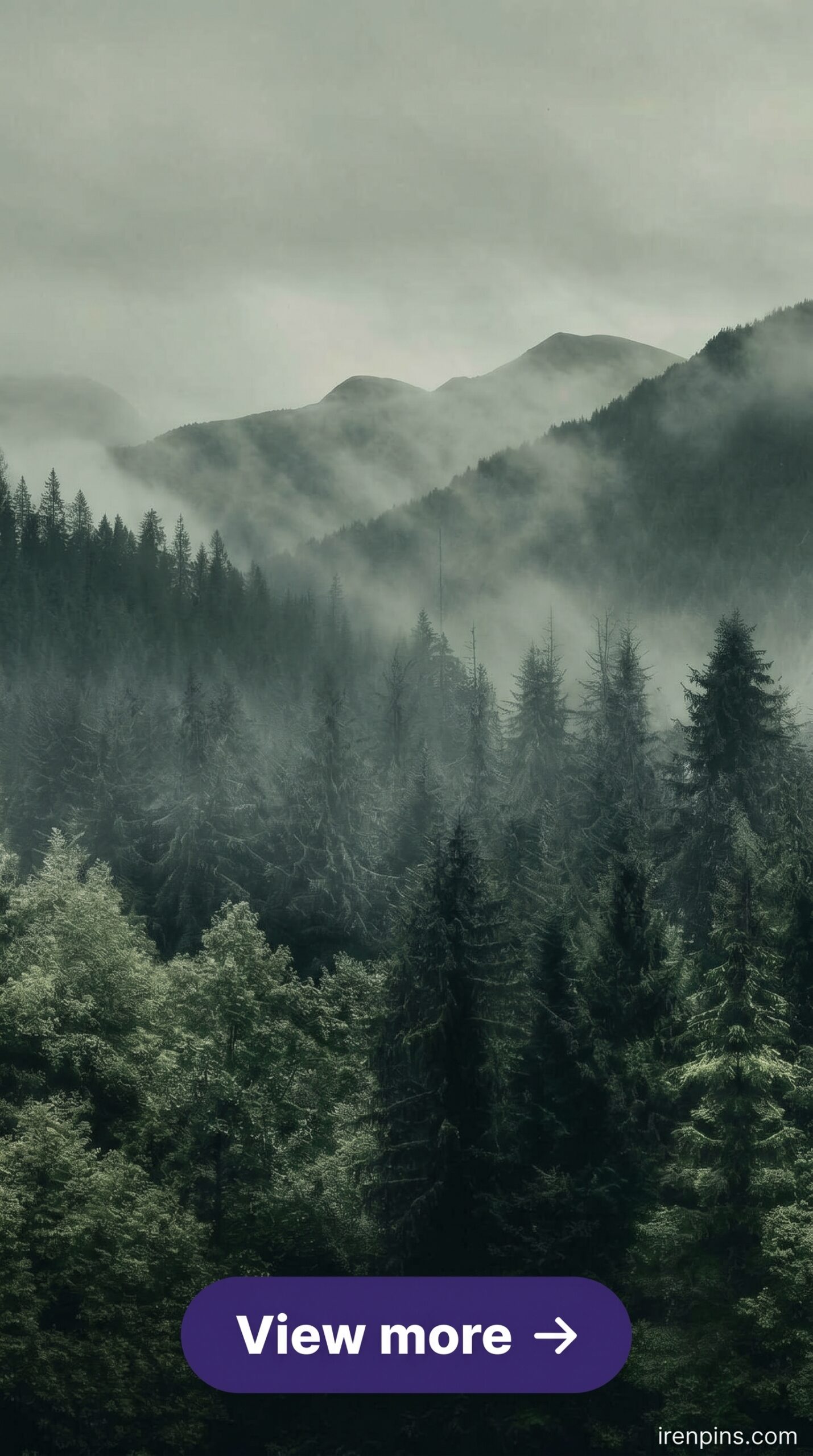 ancient forest aesthetic DIY woodland digital assets craft download printable