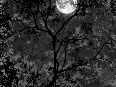 dark aesthetic wallpaper android art