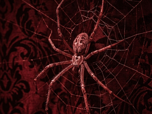 dark red aesthetic wallpaper digital art