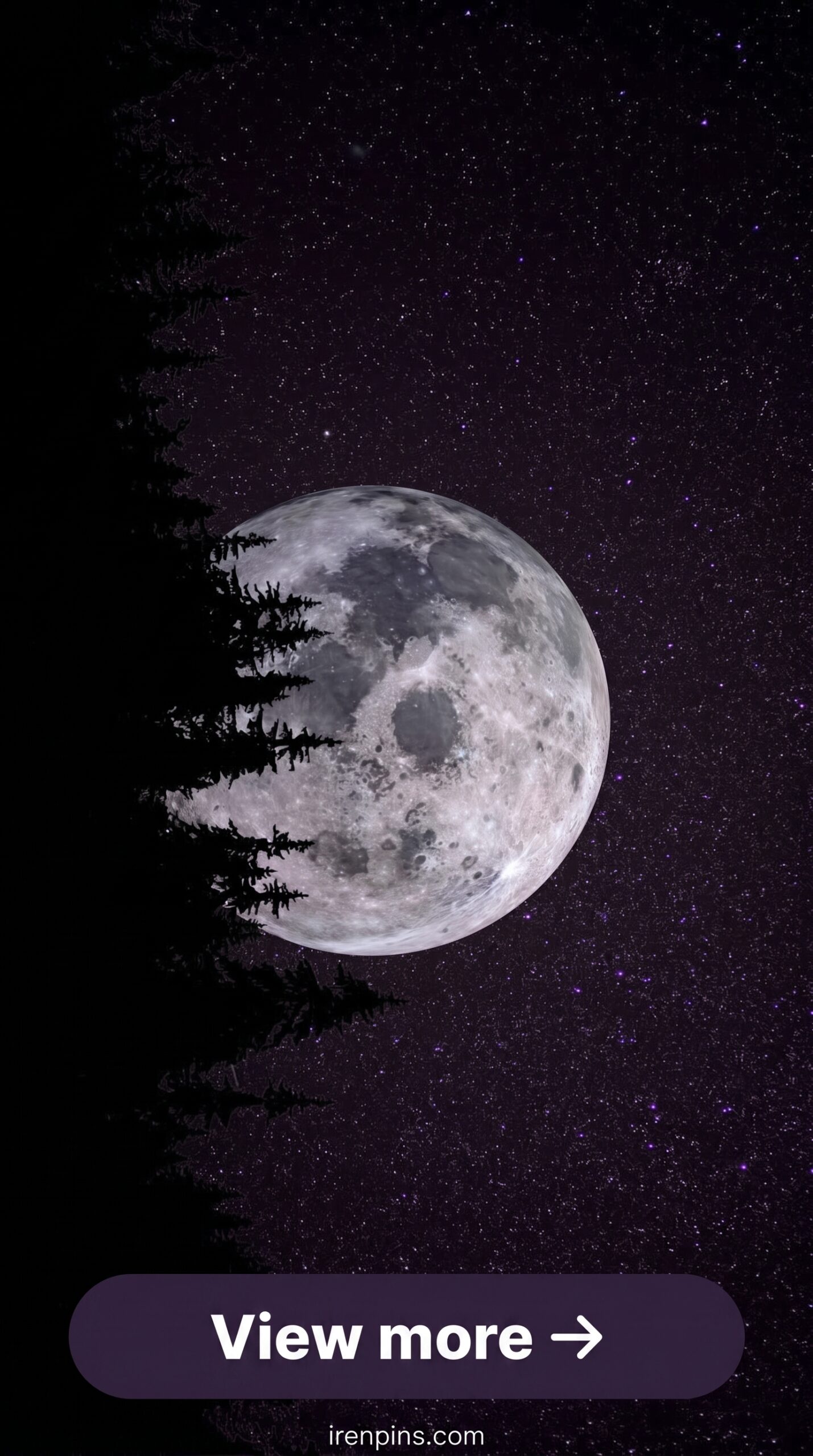mystical forest photography moonlit forest 4K wallpaper digital background