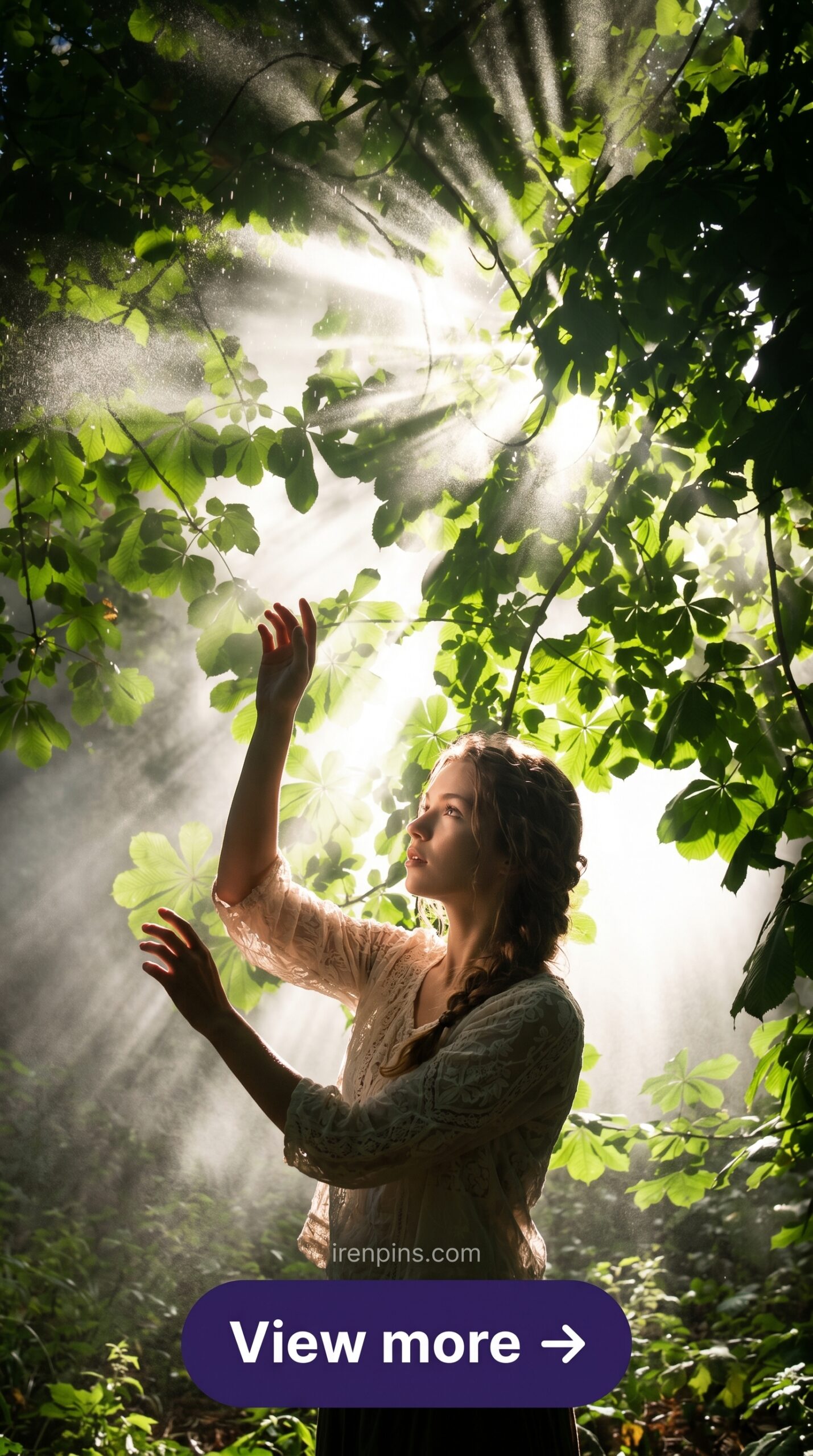 mystical forest photography enchanting nature women trees overlay PNG